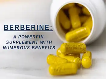 Berberine Powder for Blood Sugar Management